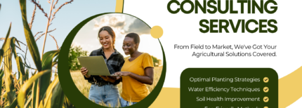 Venture Profile Welo Ranch (U) Ltd image of Green And Yellow Modern Agricultural Consulting Services Poster