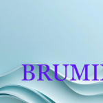 Venture Profile Y&T Ltd image of BRUMIX